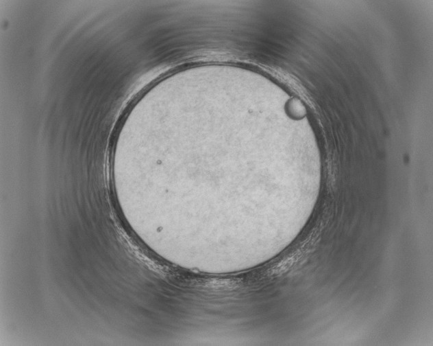 X0000062870839200602031715