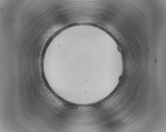 X0000062870840200602031715