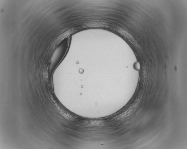 X0000062870841200602031715