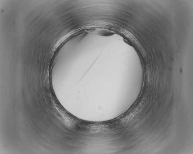 X0000062870842200602031715