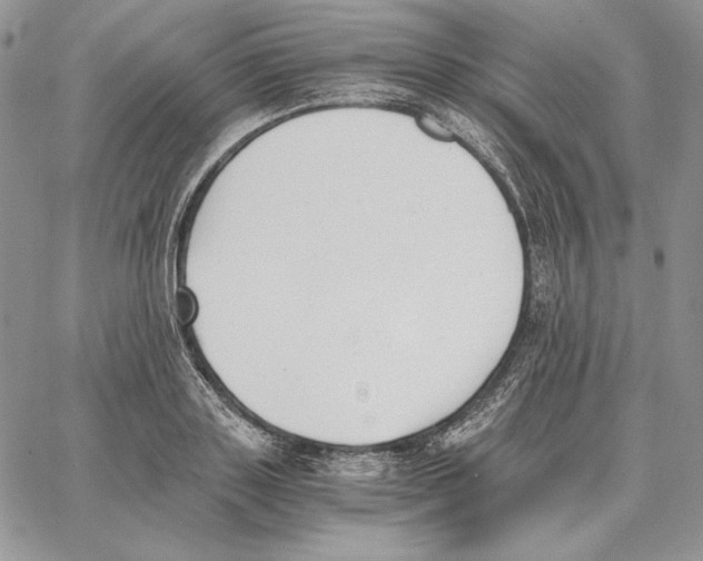 X0000062870843200602031715