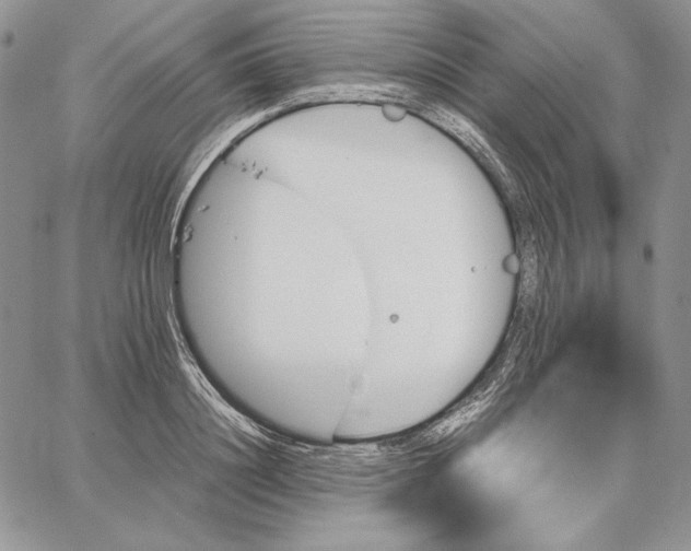 X0000062870844200602031715