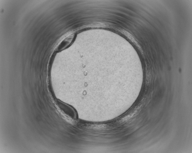 X0000062870845200602031715