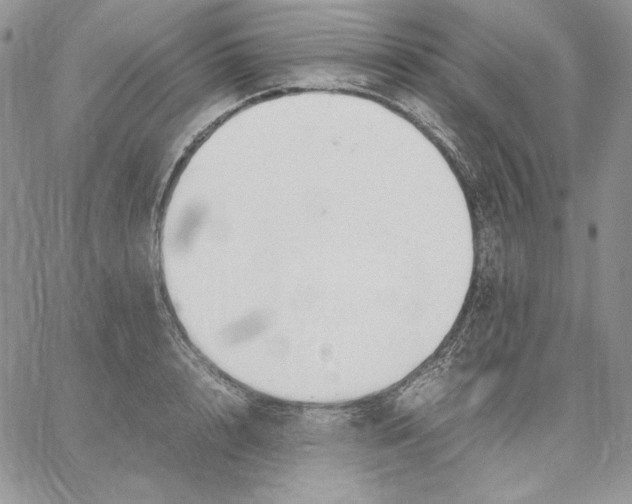 X0000062870848200602031715