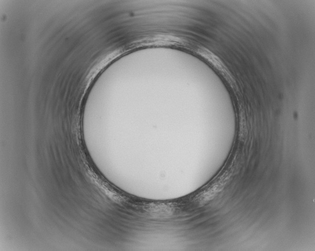 X0000062870850200602031715