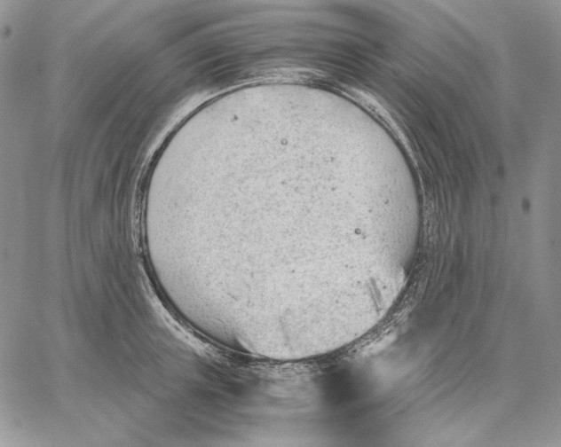 X0000062870851200602031715