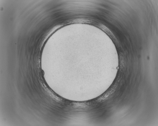 X0000062870852200602031715