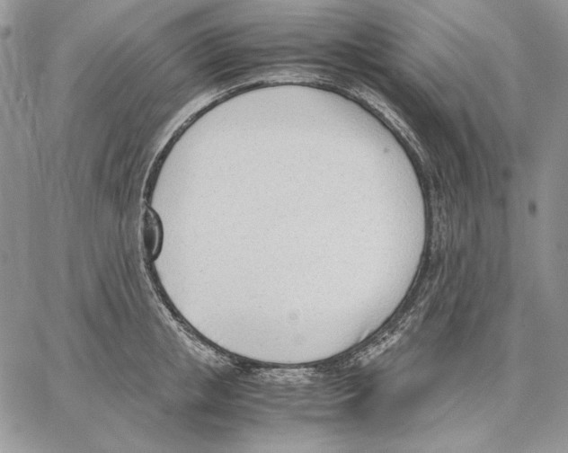 X0000062870853200602031715