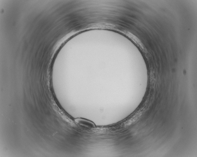 X0000062870854200602031715