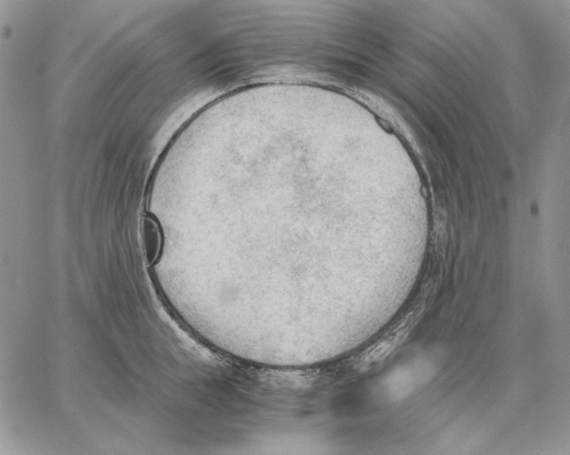 X0000062870855200602031715