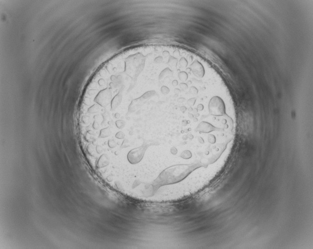 X0000062870856200602031715