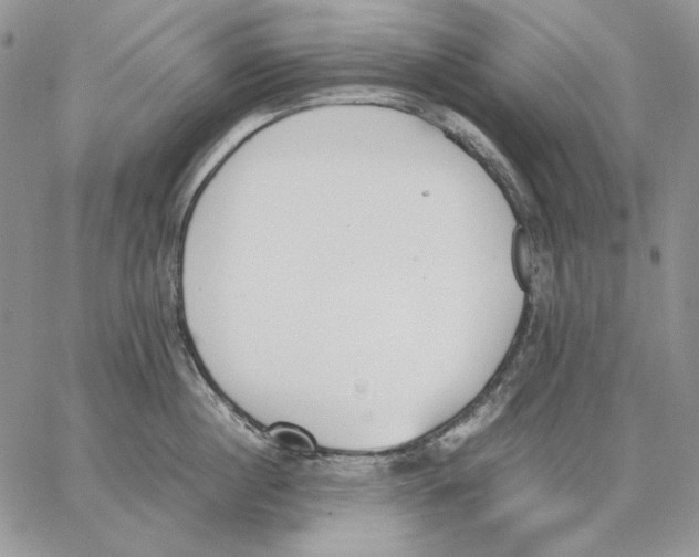 X0000062870860200602031715