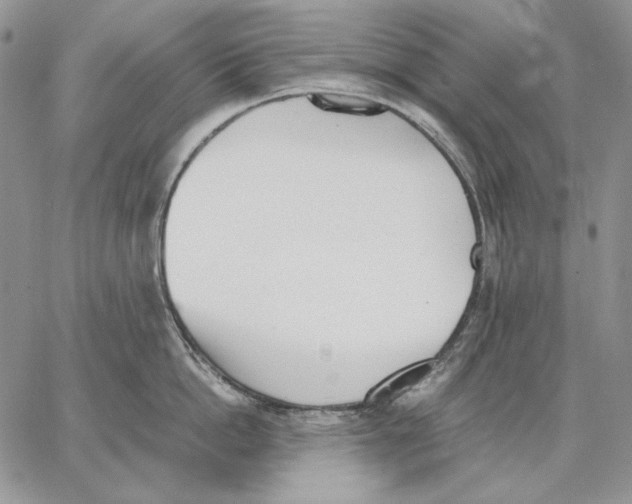 X0000062870862200602031715