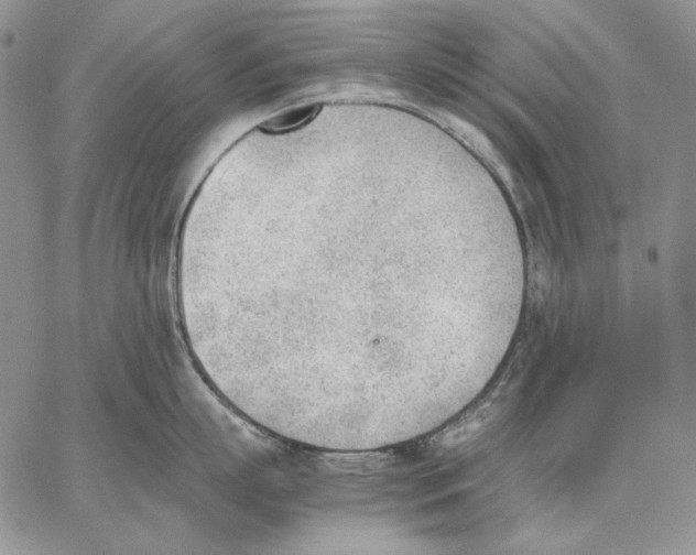 X0000062870863200602031715