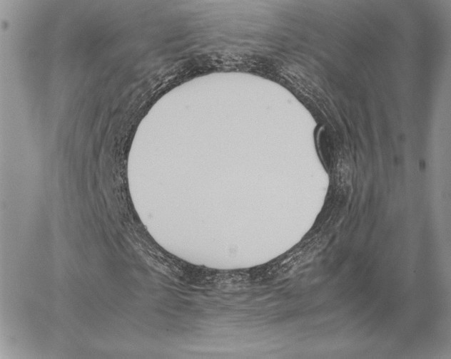 X0000062870865200602031714