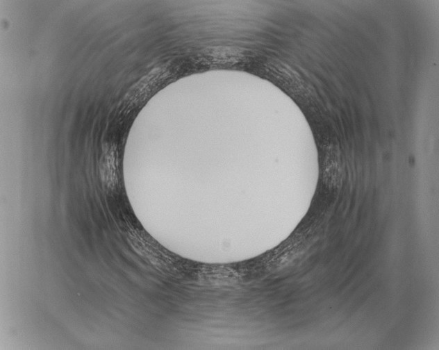 X0000062870866200602031714