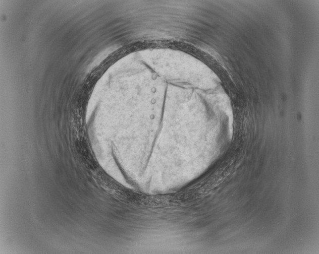 X0000062870871200602031714