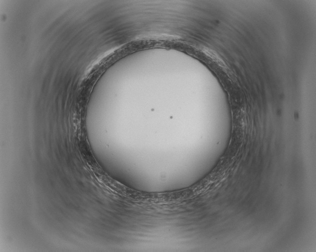 X0000062870872200602031714