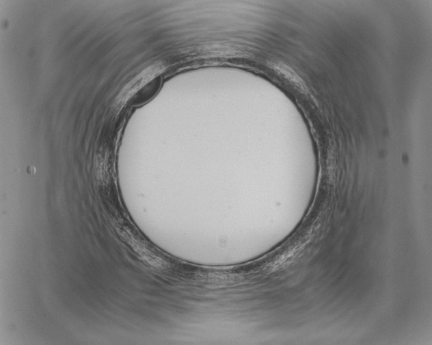 X0000062870873200602031714