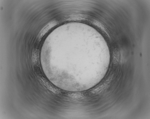 X0000062870874200602031714