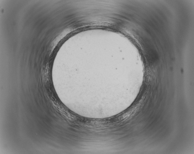 X0000062870875200602031714