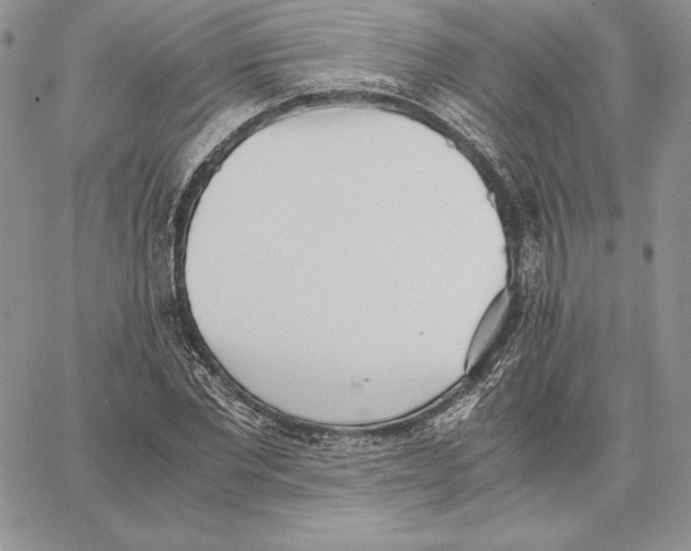 X0000062870877200602031714