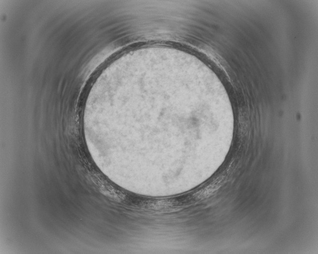 X0000062870879200602031714