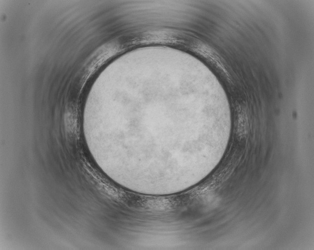 X0000062870882200602031714