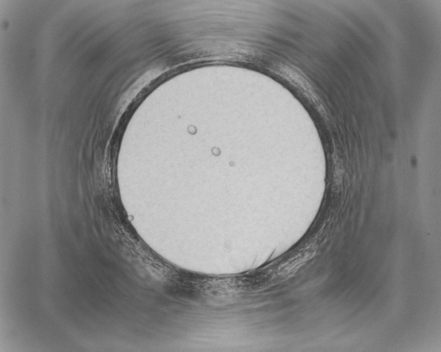 X0000062870883200602031714