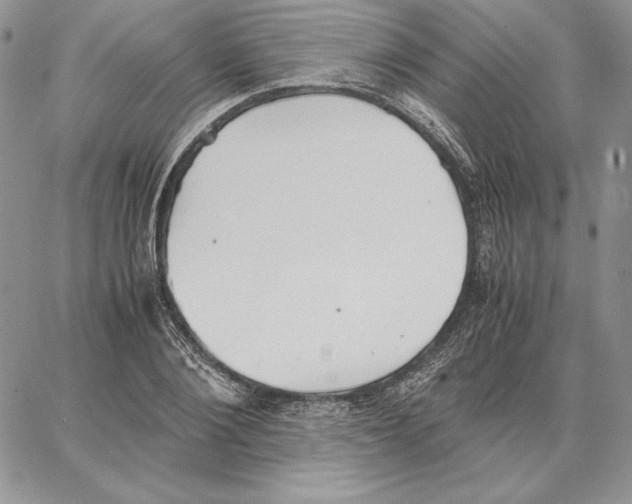 X0000062870884200602031714