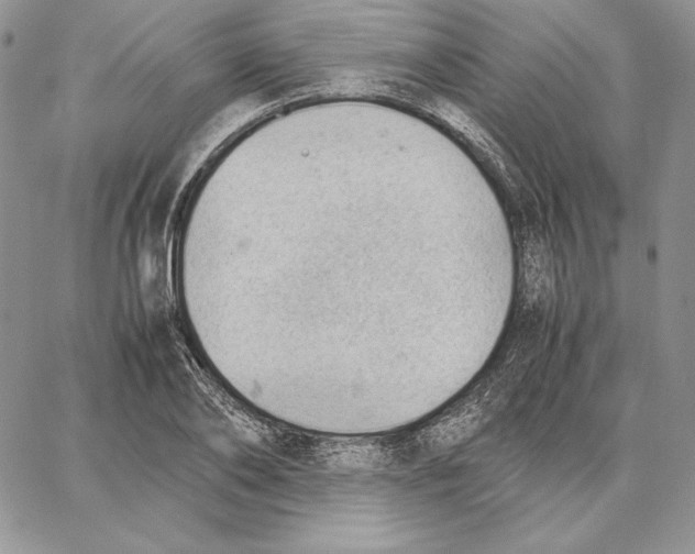 X0000062870886200602031714