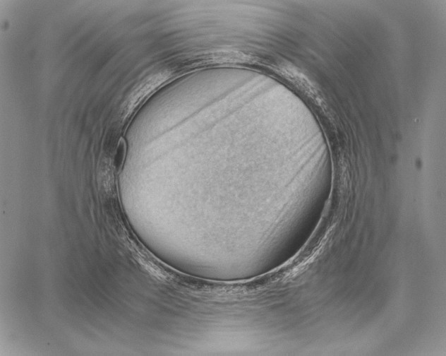 X0000062870889200602031714