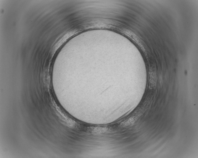 X0000062870890200602031714