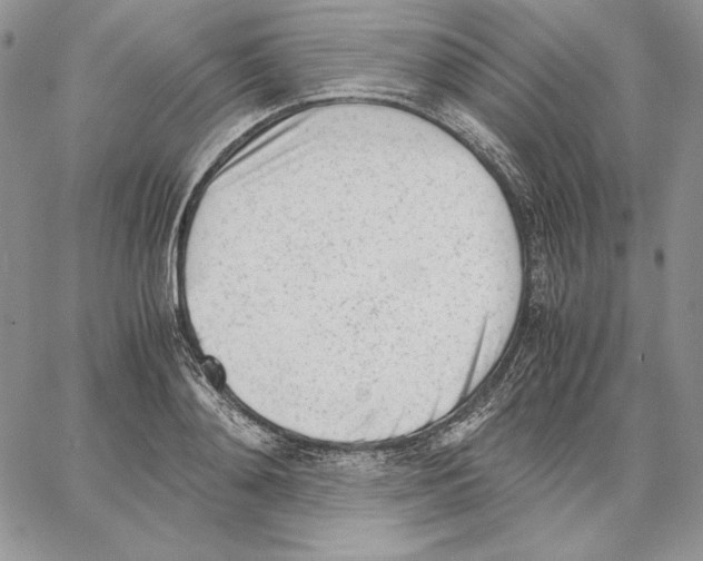 X0000062870892200602031714