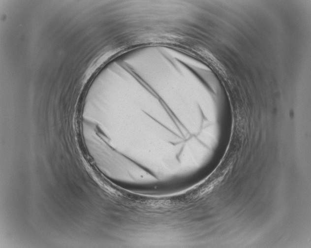 X0000062870893200602031714