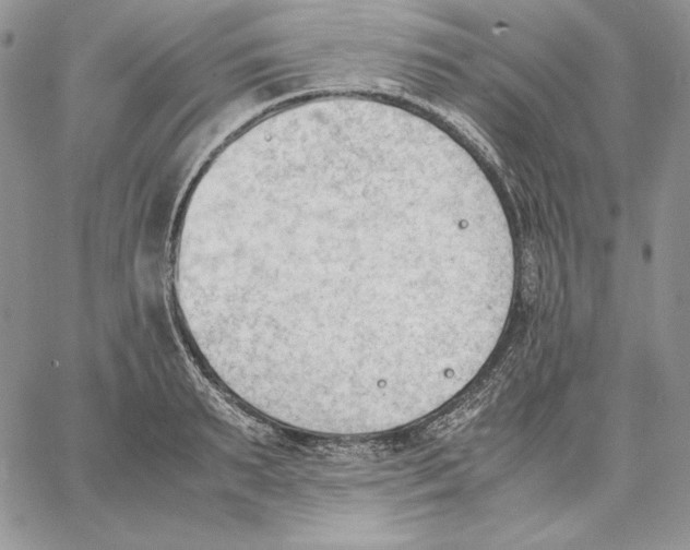 X0000062870895200602031714