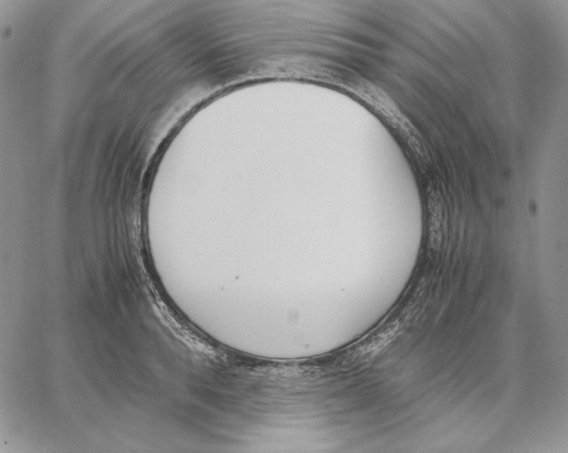 X0000062870896200602031714