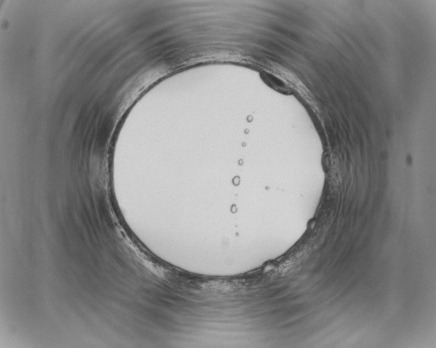 X0000062870898200602031714