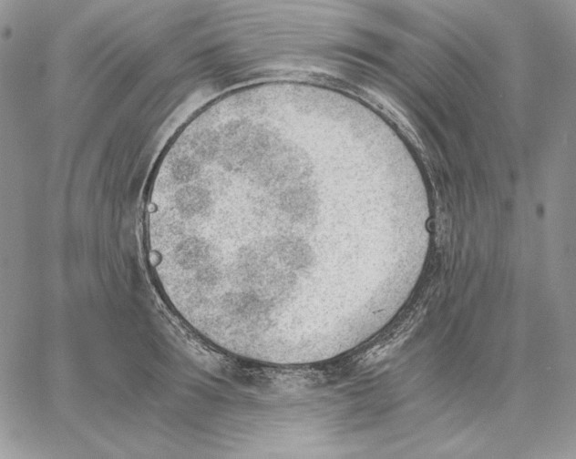 X0000062870899200602031714