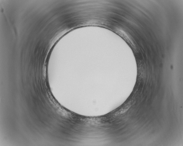 X0000062870900200602031714