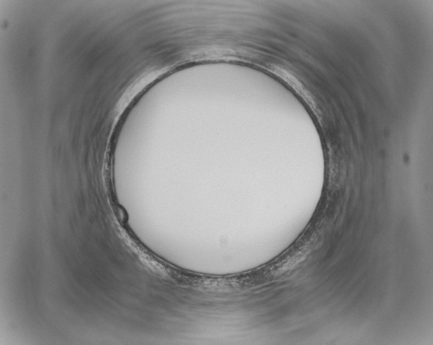 X0000062870901200602031714