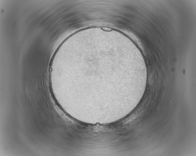 X0000062870903200602031714