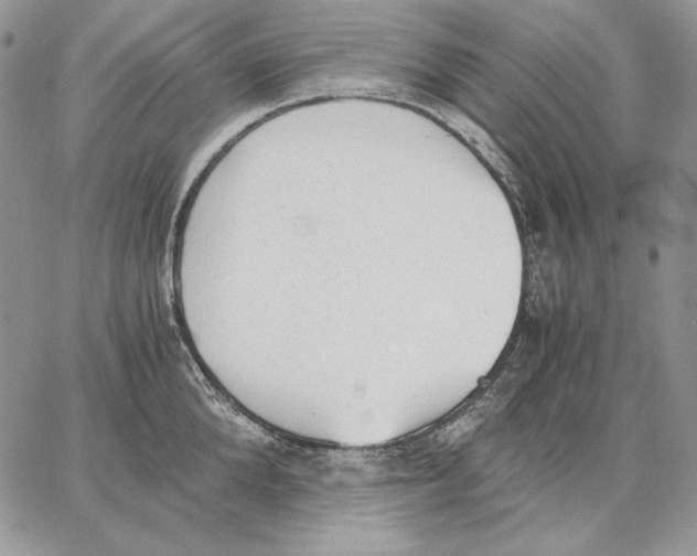 X0000062870904200602031714