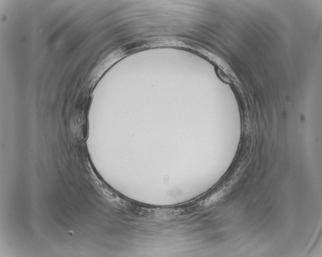 X0000062870905200602031714