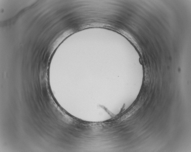 X0000062870906200602031714