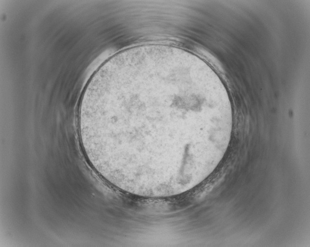 X0000062870907200602031714