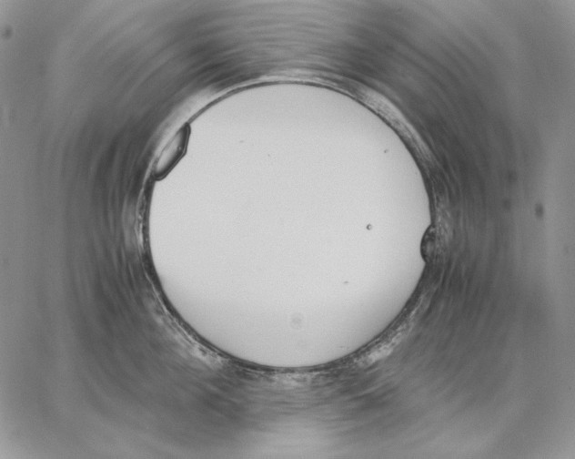 X0000062870908200602031713