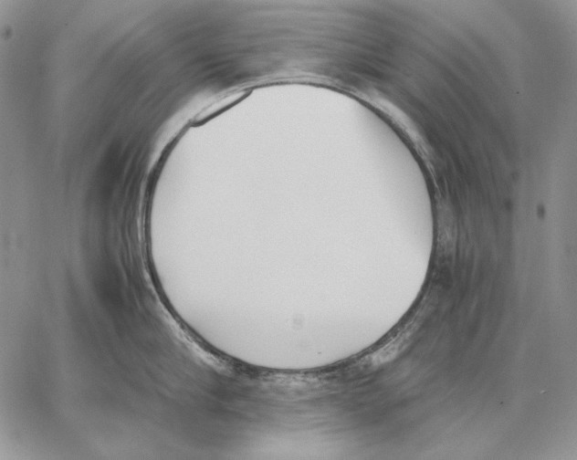 X0000062870910200602031713