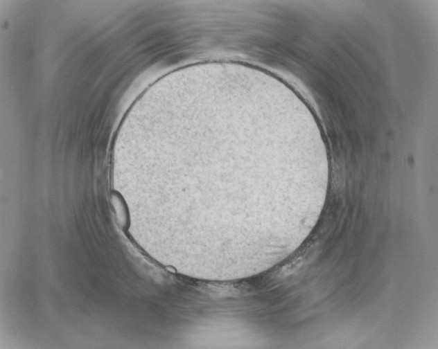 X0000062870911200602031713