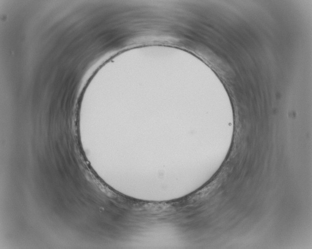 X0000062870912200602031713